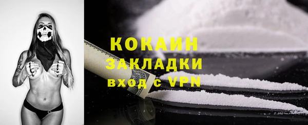 СК Бронницы