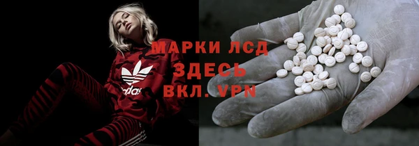 дурь Бородино