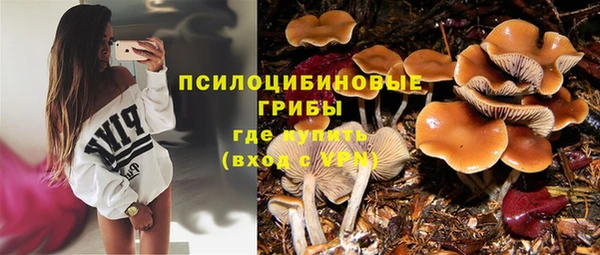 дурь Бородино