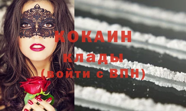 дурь Бородино