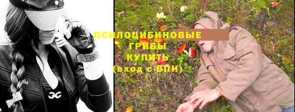 СК Бронницы