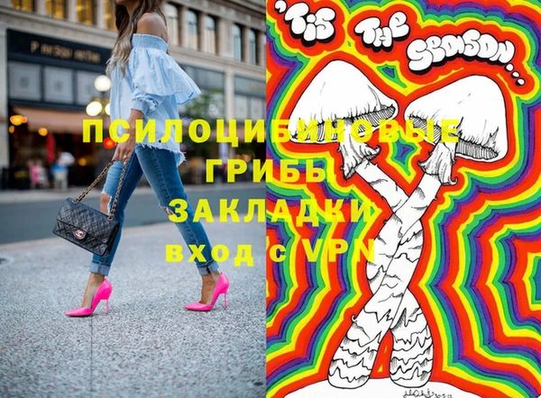СК Бронницы