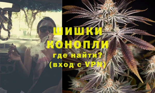 дурь Бородино
