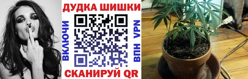 Купить закладки  Минусинск  Канабис конопля 